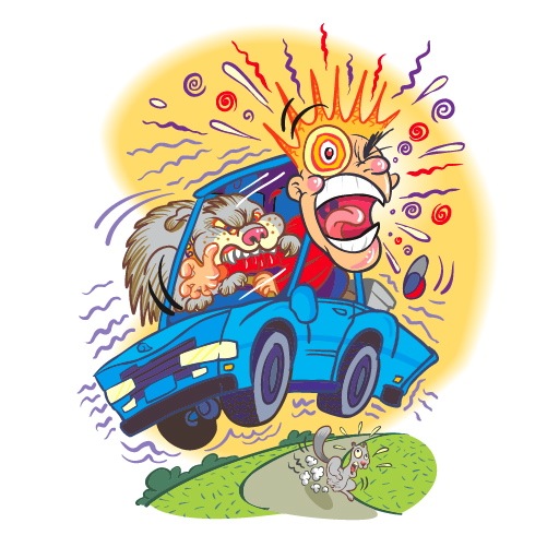 Loading Image